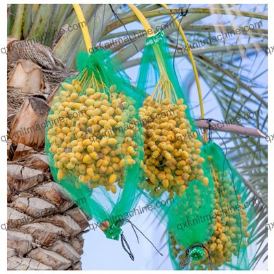 Ochranná krycí síťovina na datlové sáčky